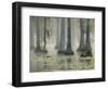 Bald Cypress Swamp in Fog, Cypress Gardens, Moncks Corner, South Carolina, USA-Corey Hilz-Framed Photographic Print