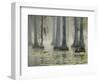 Bald Cypress Swamp in Fog, Cypress Gardens, Moncks Corner, South Carolina, USA-Corey Hilz-Framed Photographic Print