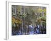 Bald Cypress Swamp Near Fort Myers, Florida, USA-Fraser Hall-Framed Photographic Print