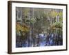 Bald Cypress Swamp Near Fort Myers, Florida, USA-Fraser Hall-Framed Photographic Print