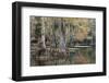 Bald Cypress tree draped in Spanish moss with fall colors. Caddo Lake State Park, Uncertain, Texas-Adam Jones-Framed Photographic Print