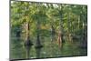 Bald Cypress Trees at Horseshoe Lake Cons. Area, Illinois-Richard and Susan Day-Mounted Photographic Print