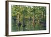 Bald Cypress Trees at Horseshoe Lake Cons. Area, Illinois-Richard and Susan Day-Framed Photographic Print