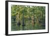 Bald Cypress Trees at Horseshoe Lake Cons. Area, Illinois-Richard and Susan Day-Framed Photographic Print