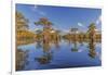 Bald cypress trees in autumn reflected on lake. Caddo Lake, Uncertain, Texas-Adam Jones-Framed Photographic Print