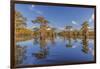 Bald cypress trees in autumn reflected on lake. Caddo Lake, Uncertain, Texas-Adam Jones-Framed Photographic Print