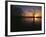 Bald Cypress Trees in Reelfoot Lake, Reelfoot National Wildlife Refuge, Tennessee, USA-Adam Jones-Framed Photographic Print