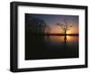 Bald Cypress Trees in Reelfoot Lake, Reelfoot National Wildlife Refuge, Tennessee, USA-Adam Jones-Framed Photographic Print