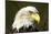 Bald Eagle, Alaska-Paul Souders-Mounted Photographic Print
