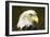 Bald Eagle, Alaska-Paul Souders-Framed Photographic Print