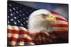 Bald Eagle and American Flag-null-Stretched Canvas