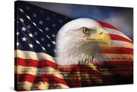 Bald Eagle and American Flag-null-Stretched Canvas