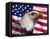 Bald Eagle and American Flag-Joseph Sohm-Framed Stretched Canvas