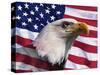 Bald Eagle and American Flag-Joseph Sohm-Stretched Canvas
