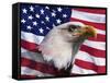 Bald Eagle and American Flag-Joseph Sohm-Framed Stretched Canvas