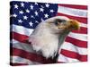 Bald Eagle and American Flag-Joseph Sohm-Stretched Canvas