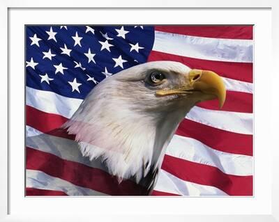 42" x 24" LARGE WALL POSTER PRINT NEW. Patriotic Eagle American Flag