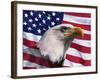 Bald Eagle and American Flag-Joseph Sohm-Framed Photographic Print