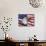 Bald Eagle and American Flag-Joseph Sohm-Mounted Photographic Print displayed on a wall