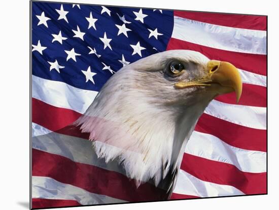 Bald Eagle and American Flag-Joseph Sohm-Mounted Photographic Print