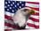 Bald Eagle and American Flag-Joseph Sohm-Mounted Photographic Print