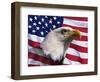 Bald Eagle and American Flag-Joseph Sohm-Framed Photographic Print