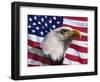 Bald Eagle and American Flag-Joseph Sohm-Framed Photographic Print