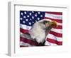 Bald Eagle and American Flag-Joseph Sohm-Framed Photographic Print