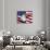 Bald Eagle and American Flag-Joseph Sohm-Photographic Print displayed on a wall