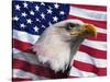 Bald Eagle and American Flag-Joseph Sohm-Stretched Canvas