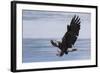 Bald Eagle Attacking-Ken Archer-Framed Photographic Print