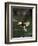 Bald Eagle, British Columbia, Canada-Paul Souders-Framed Photographic Print