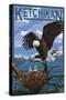 Bald Eagle & Chicks - Ketchikan, Alaska-Lantern Press-Stretched Canvas