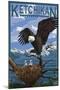 Bald Eagle & Chicks - Ketchikan, Alaska-Lantern Press-Mounted Art Print