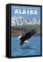 Bald Eagle Diving, Denali National Park, Alaska-Lantern Press-Framed Stretched Canvas