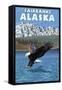 Bald Eagle Diving, Fairbanks, Alaska-Lantern Press-Framed Stretched Canvas