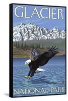 Bald Eagle Diving, Glacier National Park, Montana-Lantern Press-Framed Stretched Canvas