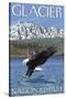 Bald Eagle Diving, Glacier National Park, Montana-Lantern Press-Stretched Canvas