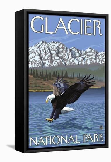 Bald Eagle Diving, Glacier National Park, Montana-Lantern Press-Framed Stretched Canvas
