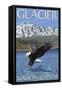 Bald Eagle Diving, Glacier National Park, Montana-Lantern Press-Framed Stretched Canvas