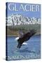 Bald Eagle Diving, Glacier National Park, Montana-Lantern Press-Stretched Canvas