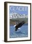 Bald Eagle Diving, Glacier National Park, Montana-Lantern Press-Framed Art Print