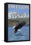 Bald Eagle Diving, Oregon-Lantern Press-Framed Stretched Canvas