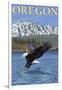 Bald Eagle Diving, Oregon-Lantern Press-Framed Art Print