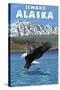 Bald Eagle Diving, Seward, Alaska-Lantern Press-Stretched Canvas