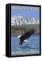 Bald Eagle Diving, Skagit Valley, Washington-Lantern Press-Framed Stretched Canvas