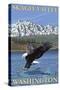 Bald Eagle Diving, Skagit Valley, Washington-Lantern Press-Stretched Canvas