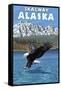 Bald Eagle Diving, Skagway, Alaska-Lantern Press-Framed Stretched Canvas