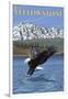 Bald Eagle Diving, West Yellowstone, Montana-Lantern Press-Framed Art Print