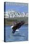 Bald Eagle Diving, Yellowstone National Park-Lantern Press-Stretched Canvas